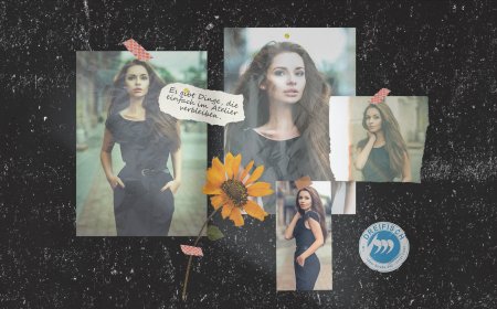 Das Basiskonzept, die Basiselemente, das Bildkonzept - Die dreiVs