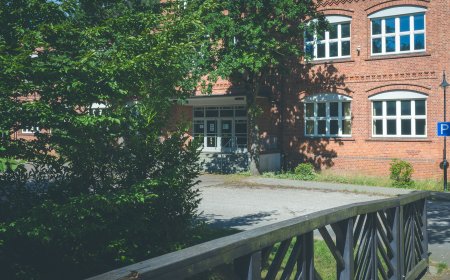 Selbstbestimmte Bildung für Alle, die Bedeutung der Heilpädagogik