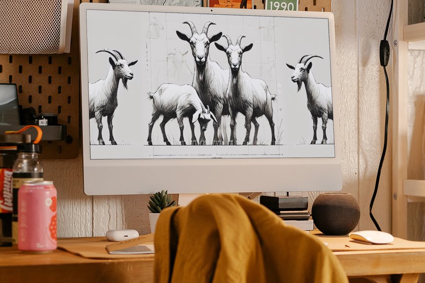 Stille Gegenwart alter Zeit - Ein Oktobertag mit Sophia Hedwig