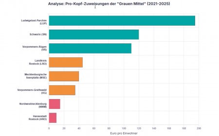 Graue Mittel, klare Kanten:  Wie Förderpolitik zur politischen Waffe wird