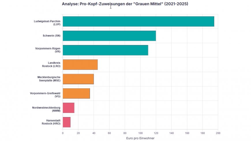 Graue Mittel, klare Kanten:  Wie Förderpolitik zur politischen Waffe wird